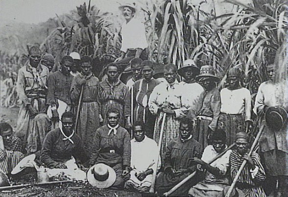 Kanaka - Pasifika peoples - on a plantation in Queensland, late 1800s