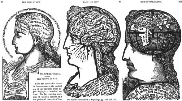The Book of Life - Brain and Body - Zone of Civilization