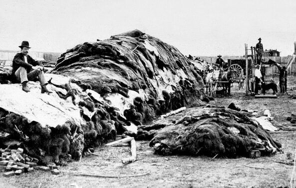 f39aa60ae5c465fc588798260a192eeb